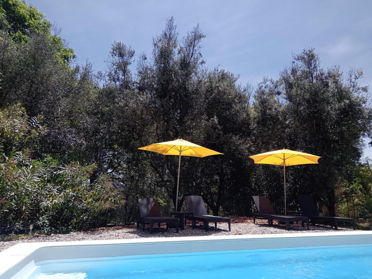 2 Pieces "Le Brin De Soleil" Gites Appart 'Hotel L'Echappee Belle D'Aubenas Logement 1 Sur 3 Dış mekan fotoğraf